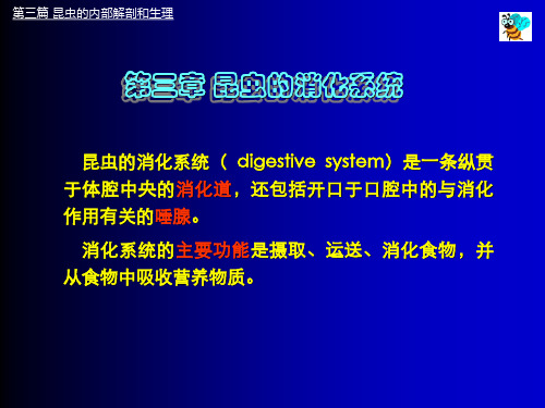 第三章 昆虫的消化系统及其生理