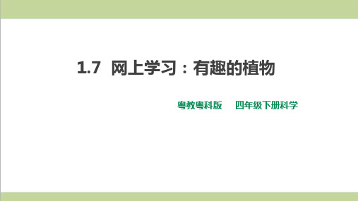 (新教材)粤科版四年级下册科学 1.7 网上学习：有趣的植物 课件