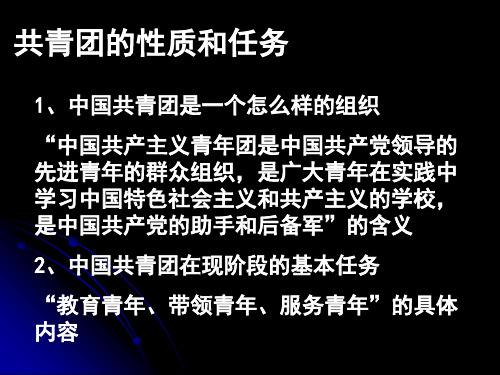 共青团的性质和任务共20页文档