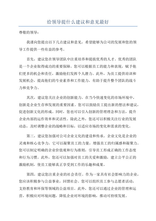 给领导提什么建议和意见最好