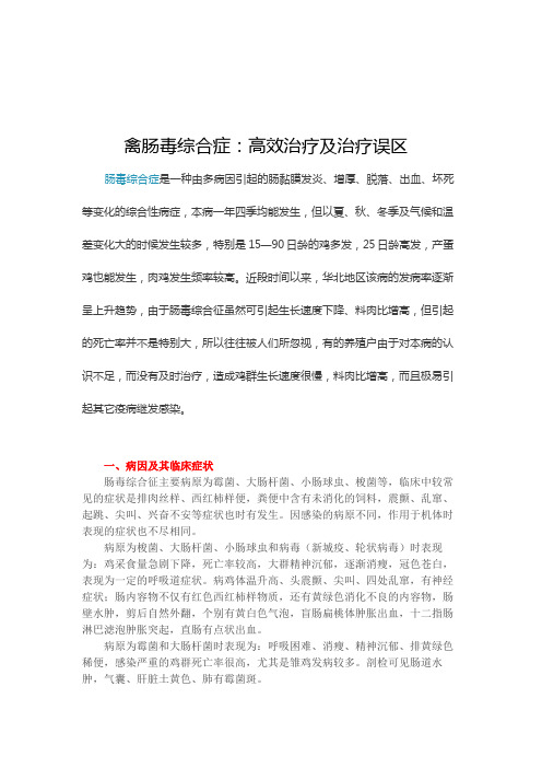 禽肠毒综合症：高效治疗及治疗误区