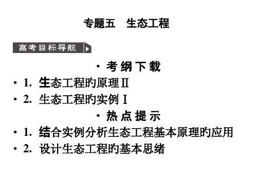 人教版教学高考生物一轮复习选修专题生态工程省名师优质课赛课获奖课件市赛课一等奖课件