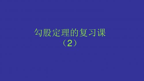 勾股定理的复习课(2)教研组集体备课课件