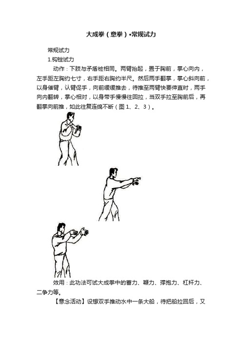 大成拳（意拳）·常规试力