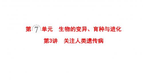 高考生物一轮复习第7单元生物的变异、育种与进化第3讲