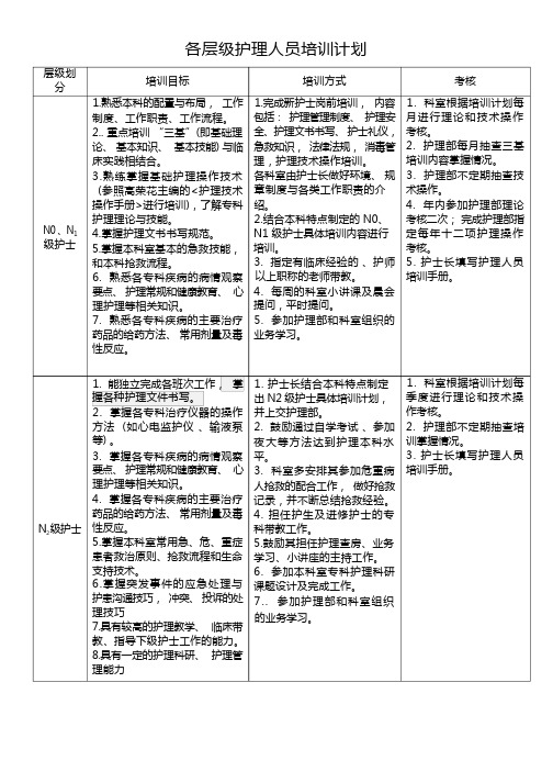 护士分层级培训计划