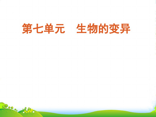 广东省高考生物一轮复习 第21讲 基因突变和基因重组精品课件