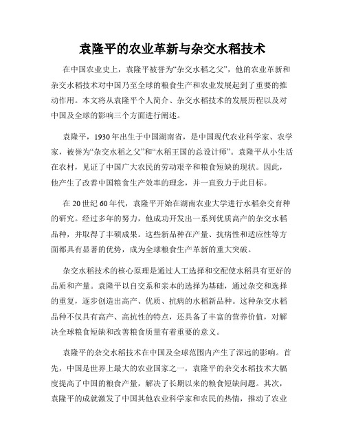 袁隆平的农业革新与杂交水稻技术