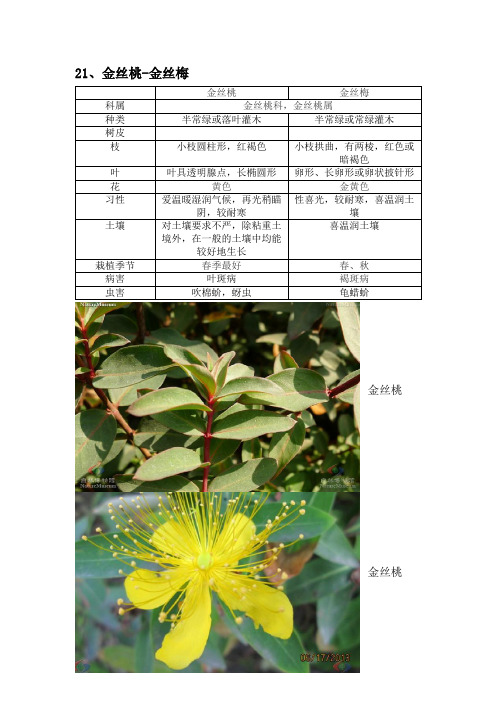 常见植物区分(图表)