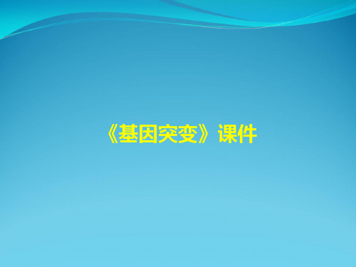 《基因突变》课件