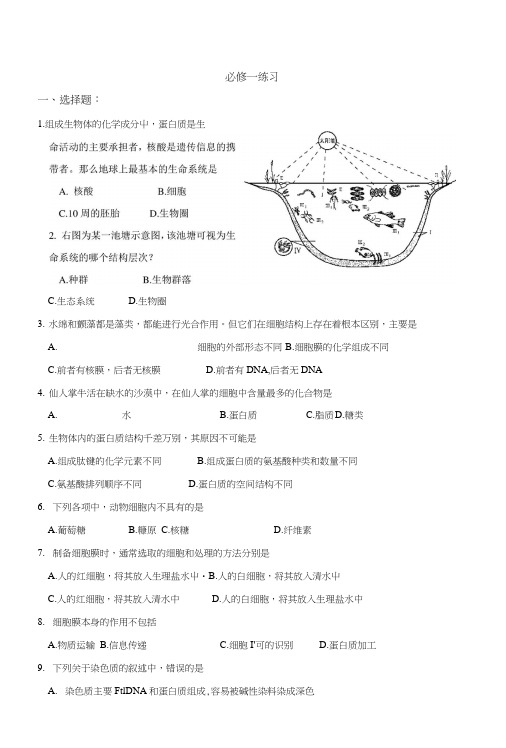 福建省三明市第一中学人教版高中生物练习：必修1无答案.docx