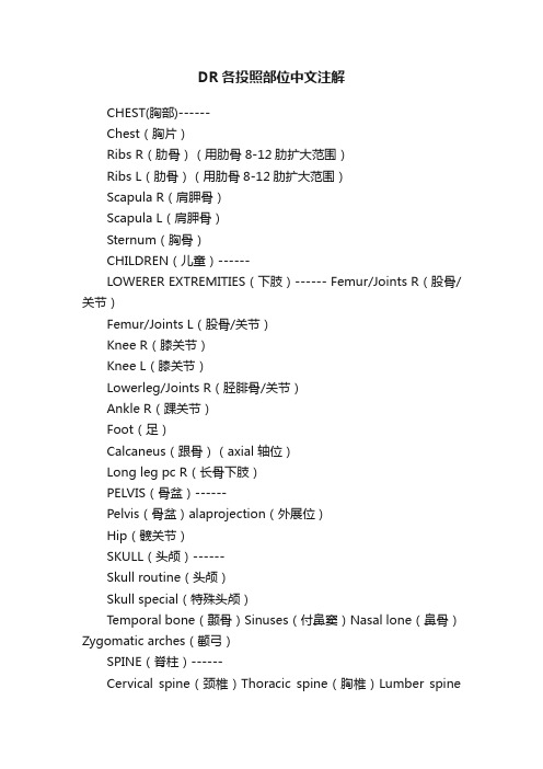 DR各投照部位中文注解