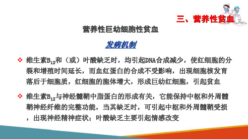 血液系统患儿的护理—巨幼红细胞性贫血患儿的护理(儿科护理课件)