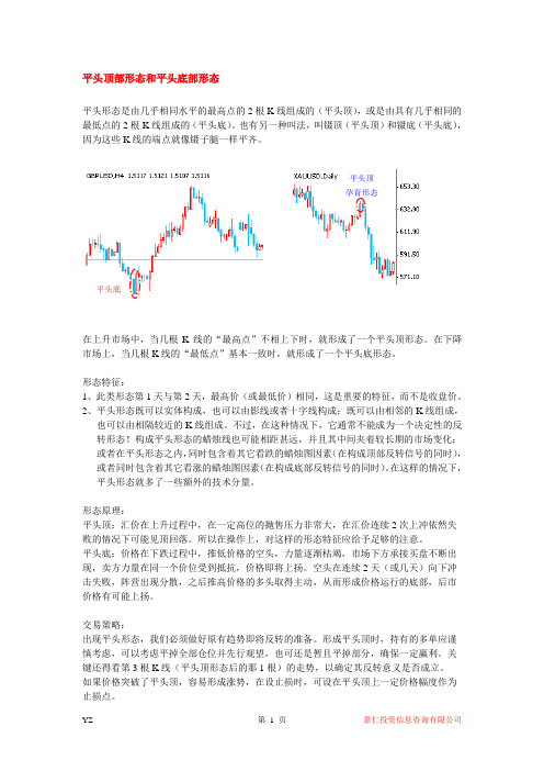 平头顶部形态和平头底部形态