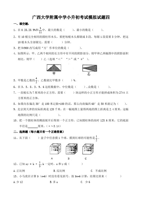 广西大学附属中学小升初考试模拟试题四