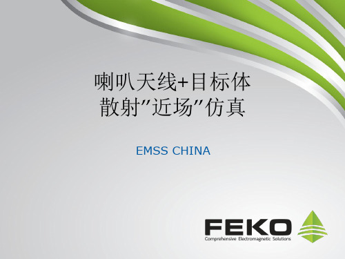 FEKO6.1_喇叭天线+目标体近场散射仿真_高级应用