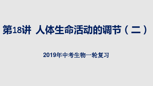 2019年中考生物复习：人体生命活动的调节(二)课件