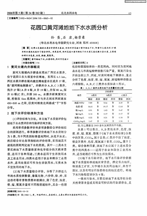 花园口黄河滩地地下水水质分析