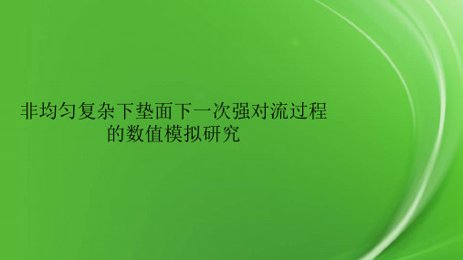 非均匀复杂下垫面下一次强对流过程的数值模拟研究