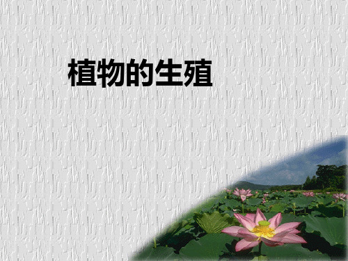 人教版生物八下1.1《植物的生殖》课件 (共22张PPT)