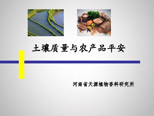 土壤质量与农产品安全