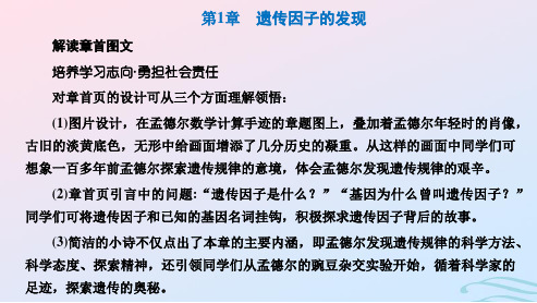 2024春新教材高中生物第1章遗传因子的发现第1节孟德尔的豌豆杂交实验一第1课时分离定律的发现课件新