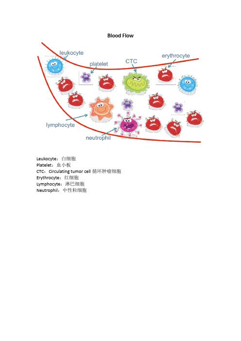 血液循环和CTC表型