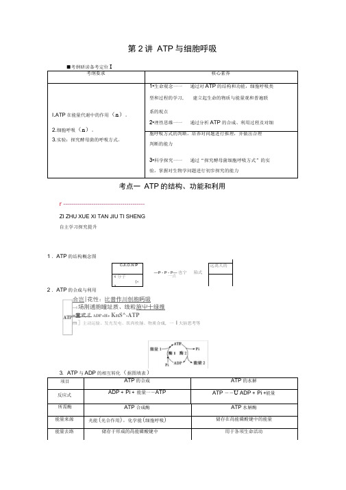 2021新高考生物人教版一轮复习讲义：必修部分模块1第3单元第2讲ATP与细胞呼吸(含答案)