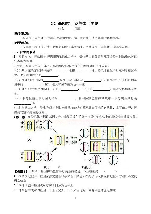 2.2基因在染色体上学案.doc