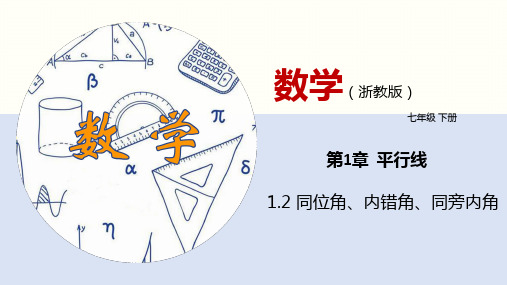 同位角、内错角、同旁内角(课件)-七年级数学下册(浙教版)