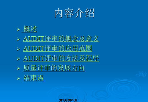 AUDIT质量评审简介