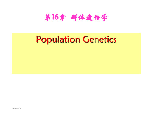 第16章群体遗传学