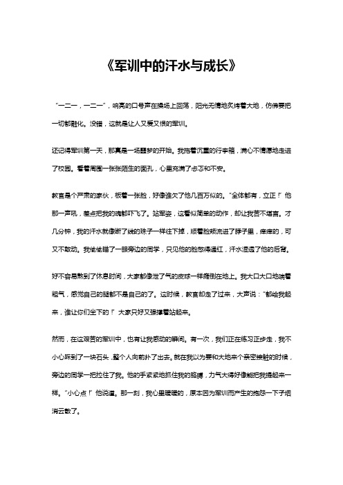 军训中的汗水与成长作文