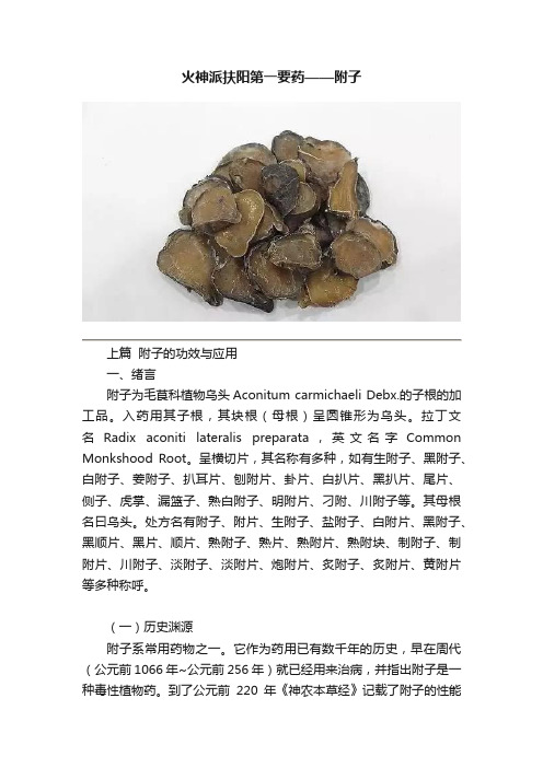 火神派扶阳第一要药——附子