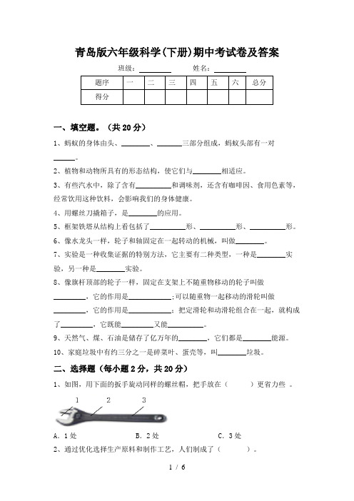 青岛版六年级科学(下册)期中考试卷及答案