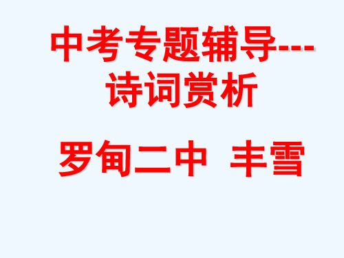 语文人教版九年级上册中考专题复习之古诗词鉴赏