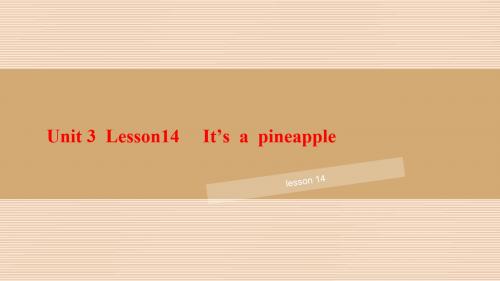 四年级上册英语课件-Unit 3 It's a pineapple Lesson 14-2_人教精通(2014秋)