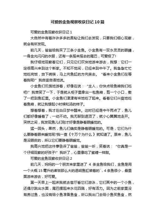 可爱的金鱼观察收获日记10篇