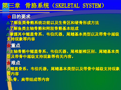 《鱼类骨骼系统》PPT课件