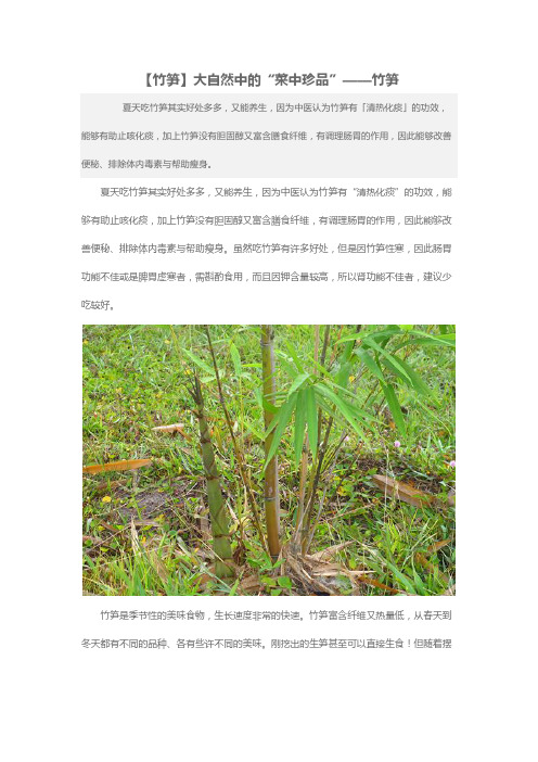 大自然中的“菜中珍品”——竹笋