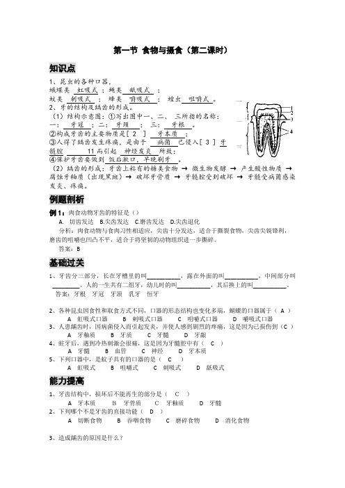 浙教版科学九年级上册《食物与摄食》第2课时导学案设计