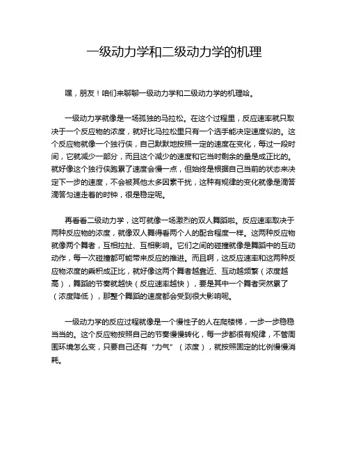 一级动力学和二级动力学的机理