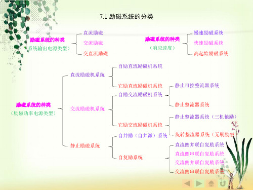 各种励磁系统介绍