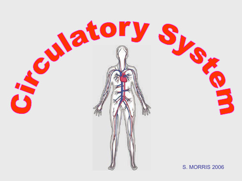 Circulatory System分析课件