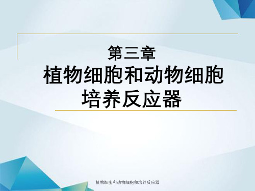 植物细胞和动物细胞和培养反应器