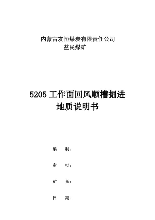 5205煤矿掘进工作面地质说明书