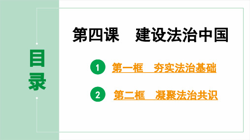 (部编版)九年级道德与法治上册第二单元第四课 建设法治中国pptx