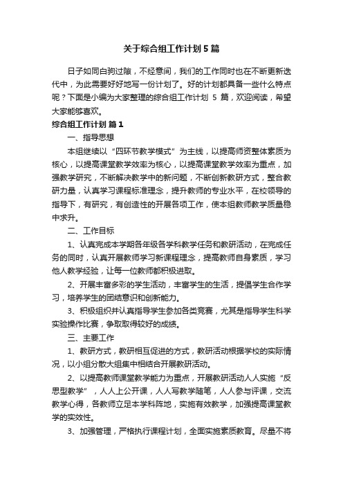 关于综合组工作计划5篇