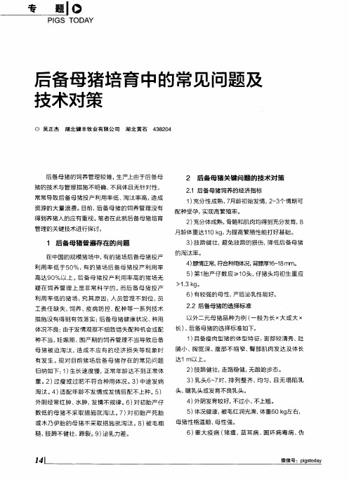 后备母猪培育中的常见问题及技术对策