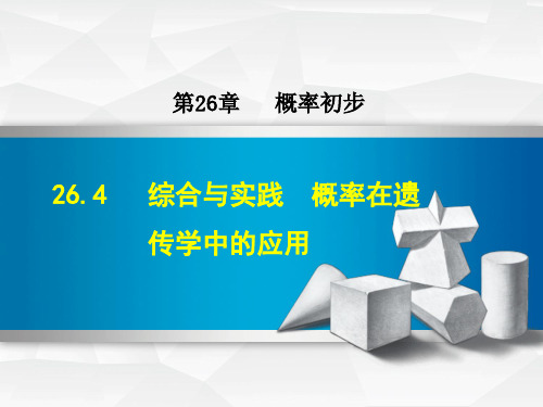 最新沪科版初中数学九年级下册精品课件26.4  综合与实践  概率在遗传学中的应用